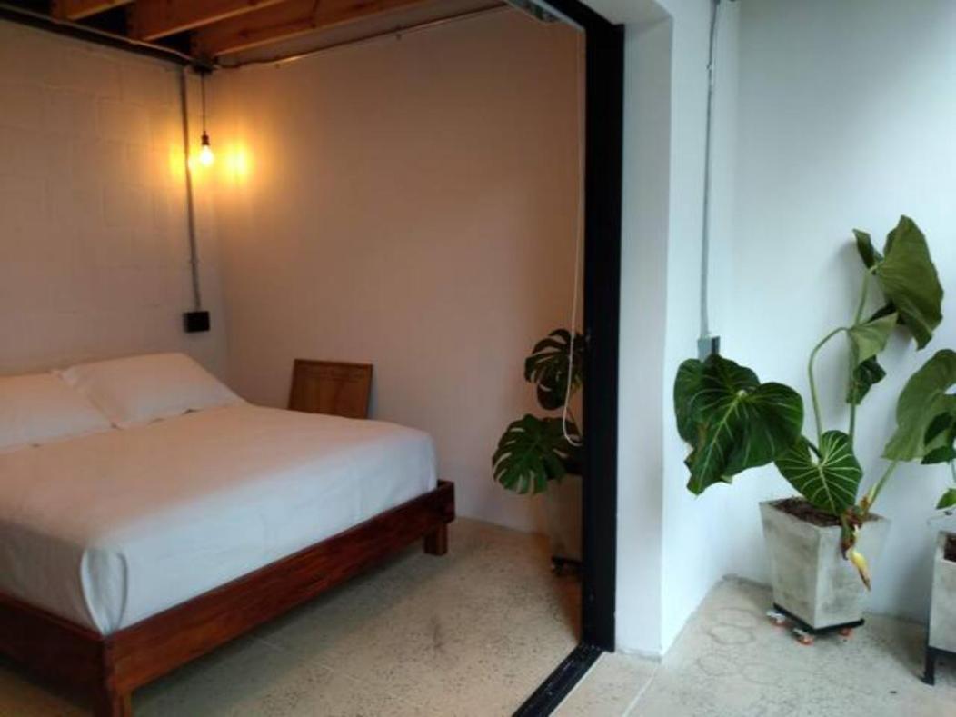 Appartement Santa Teresita Loft *